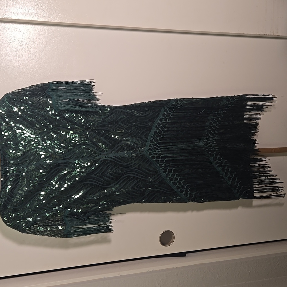 Elegant Green Sequin Fringe Dress - Picture 4 of 4